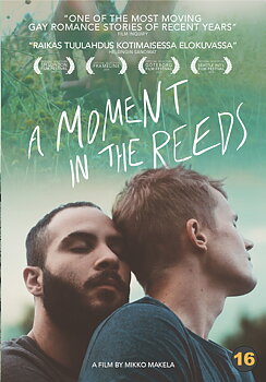 A moment in the reeds