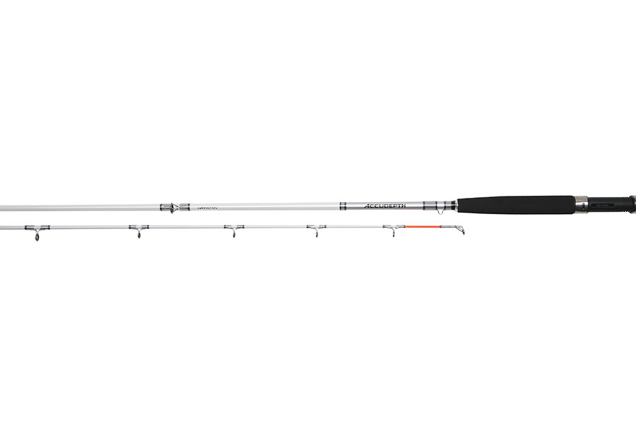 Daiwa Accudepth Trolling