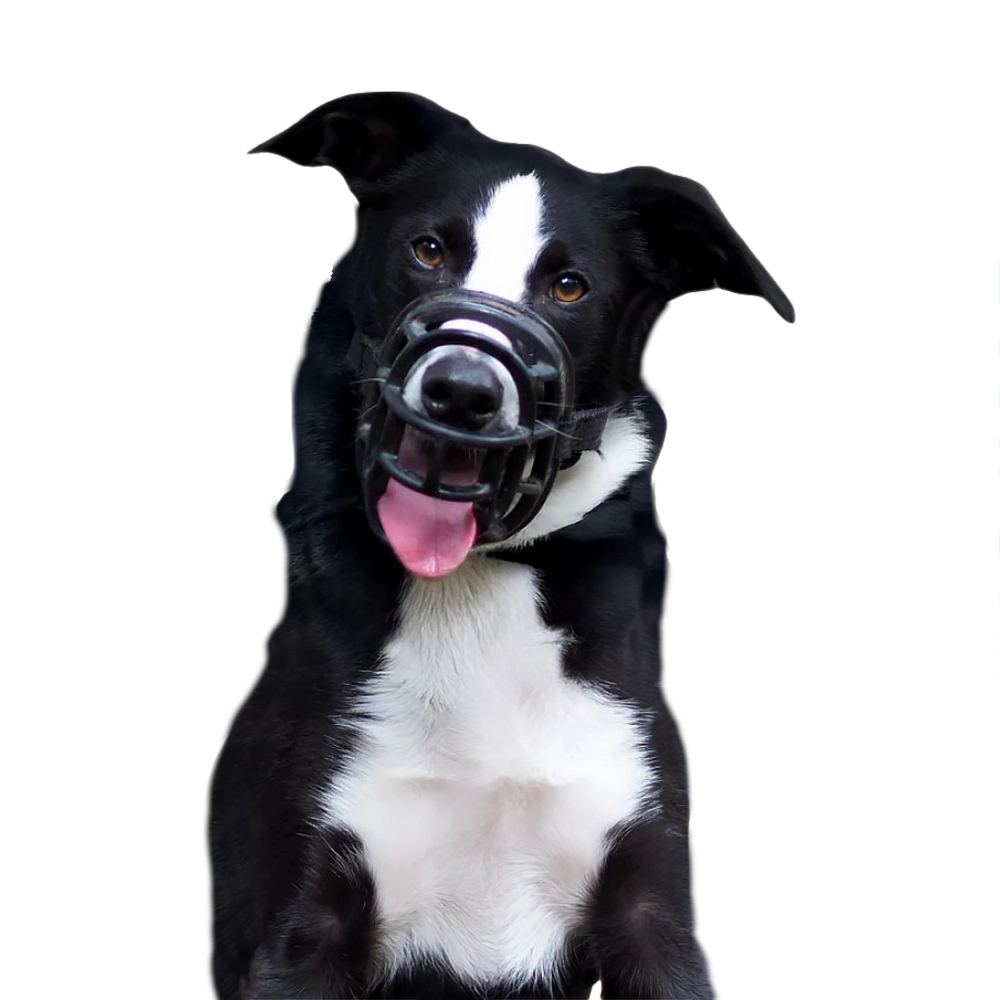 Baskerville muzzle black plastic muzzle adjustable