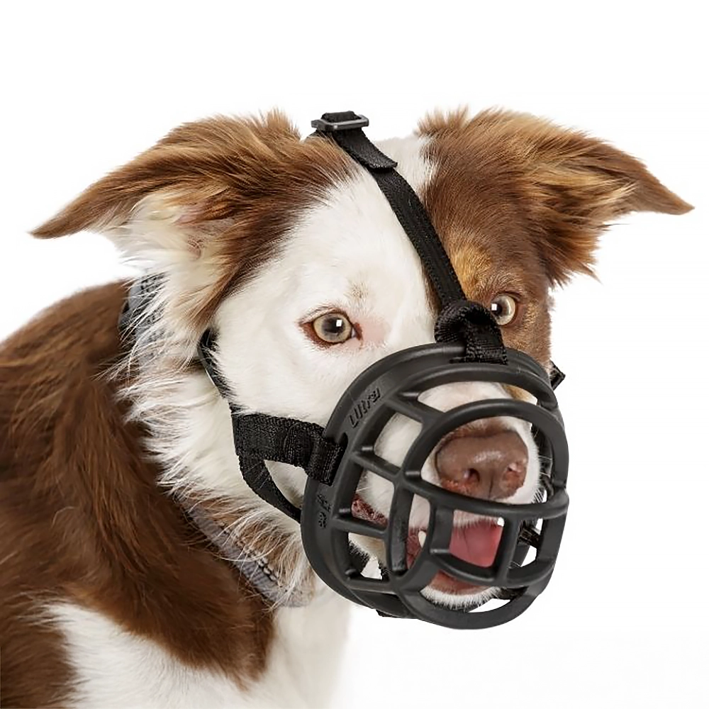 Baskerville Ultra muzzle durable strong and comfortable muzzle for dogs
