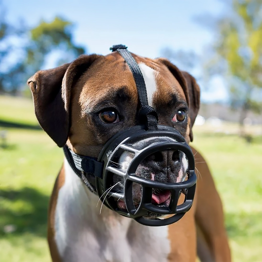 Baskerville Ultra muzzle - 6
