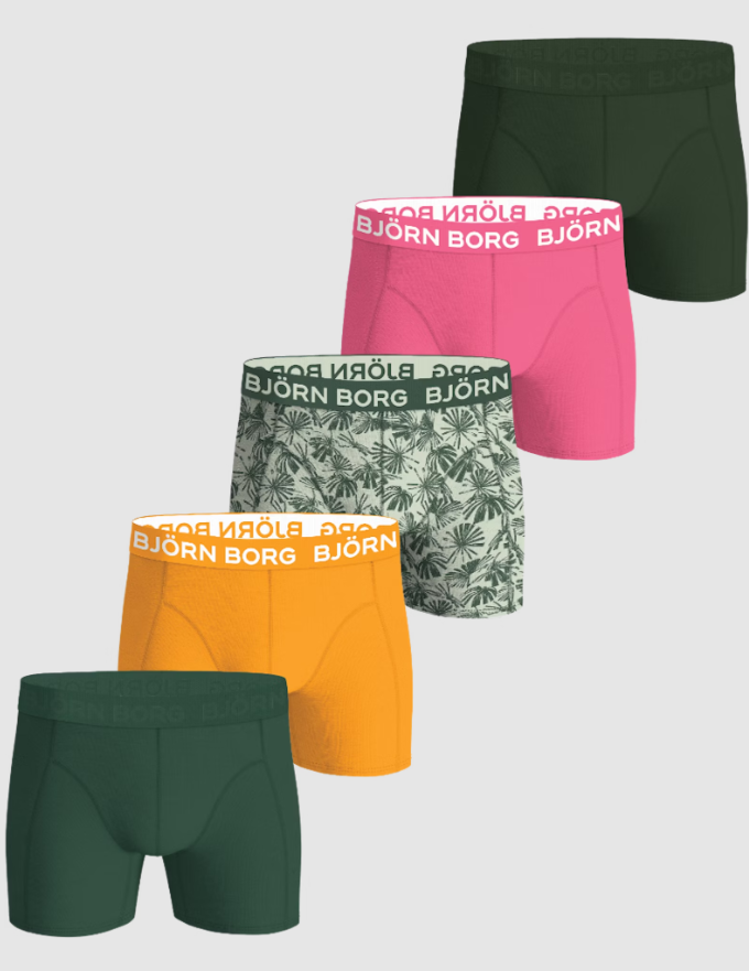 Kalsonger 5pack - Björn Borg
