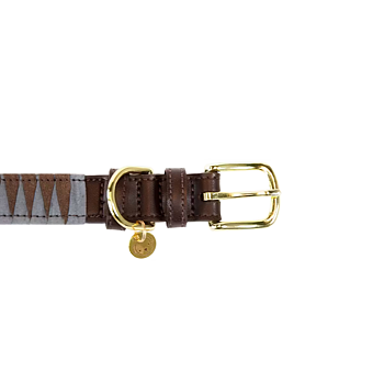 KENTUCKY DOG COLLAR TRIANGLE 