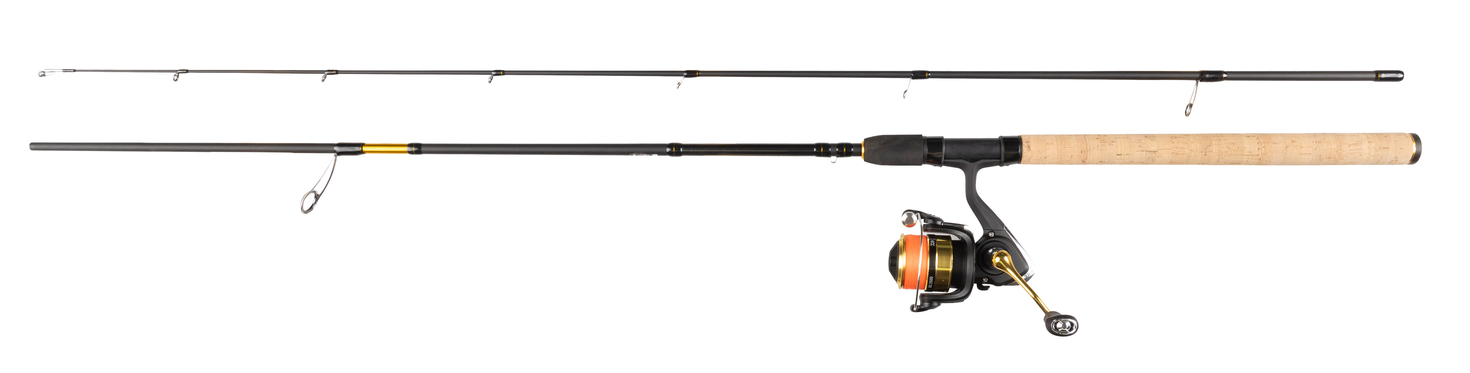 Daiwa Procaster RS PMC/RS