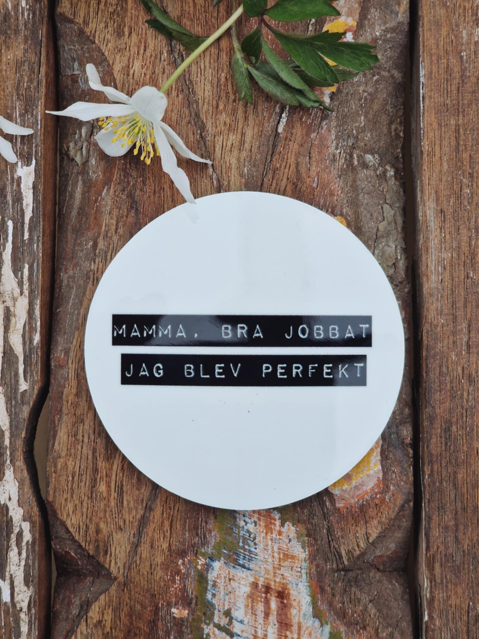 Magnet - "Mamma, bra jobbat. Jag blev perfekt"