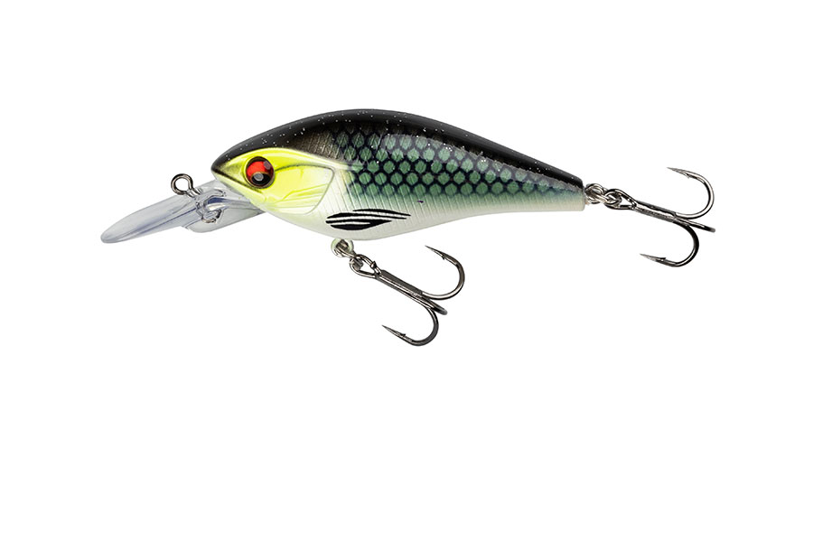 Daiwa Prorex Toddler Crank - 8