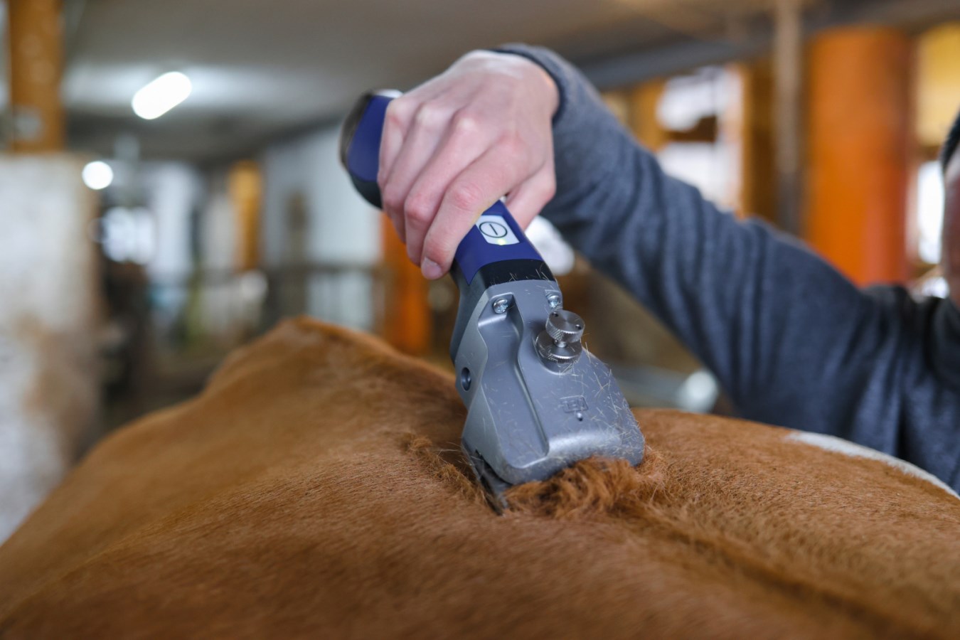 Aesculap Cordless Clipper Bonum Pro – Blue - Long battery life