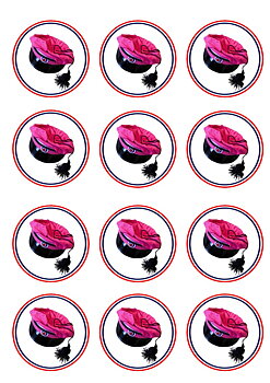 17 mai  Rosa russelue 