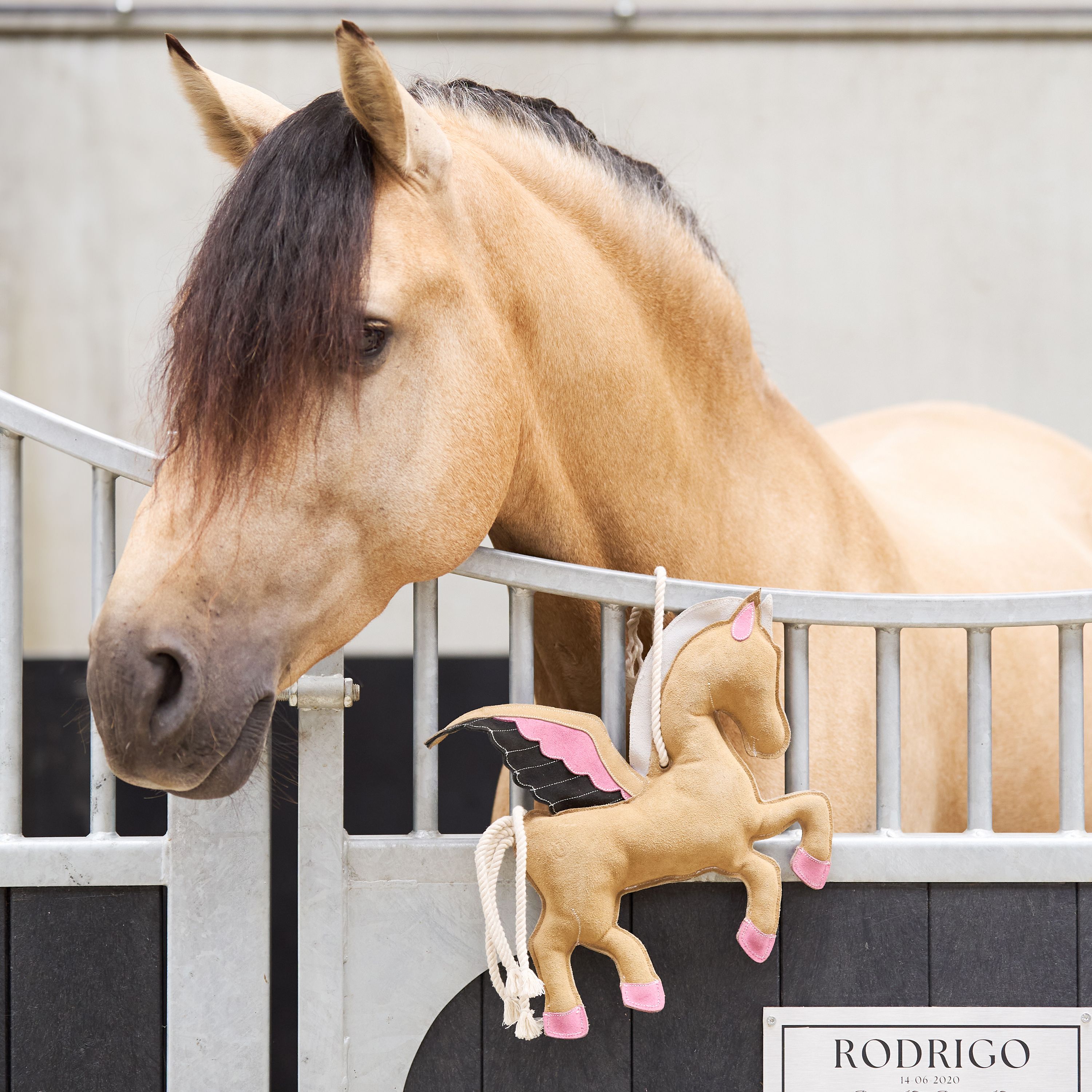 Imperial Riding IRHStable Buddy Horse Toy – Pegasus - Suede