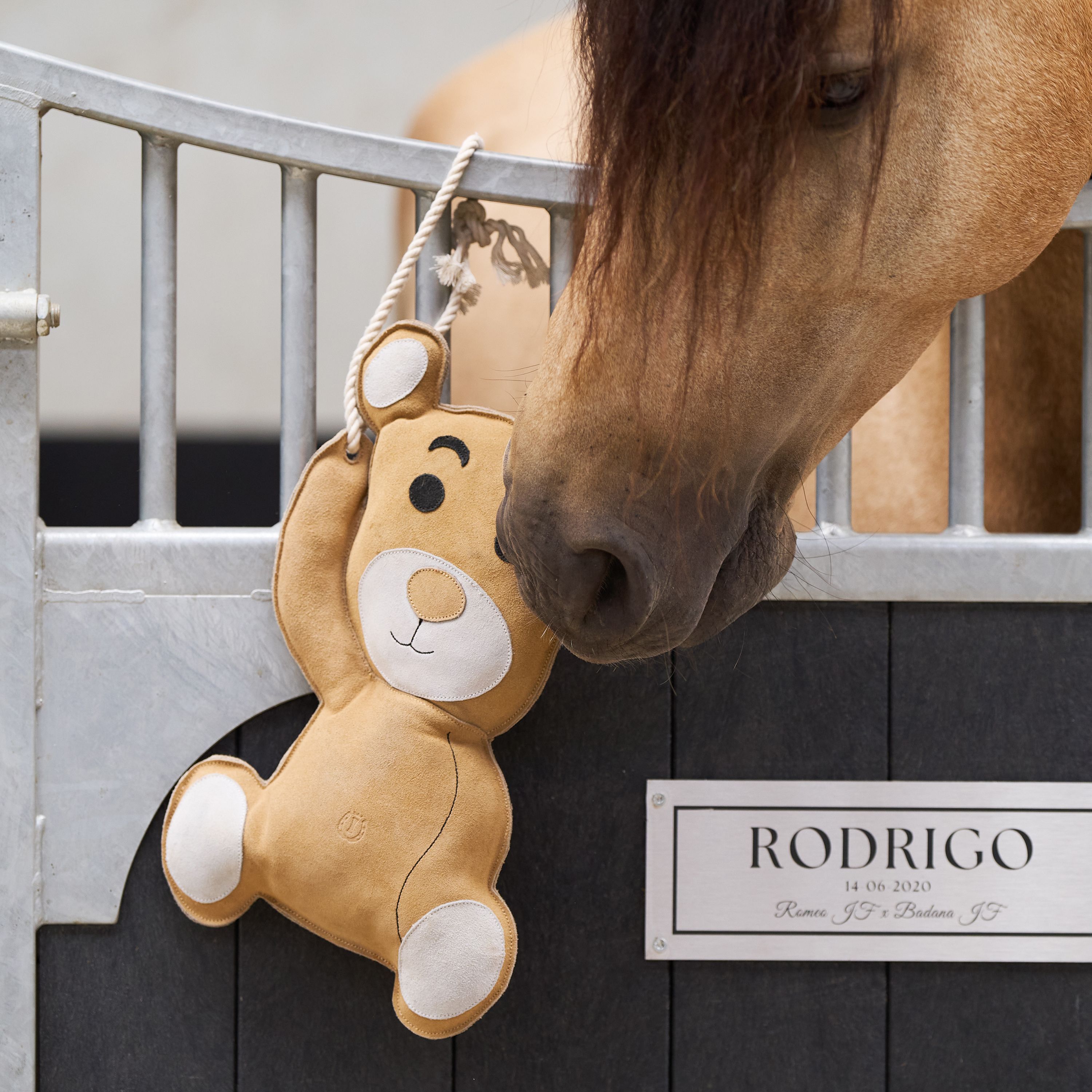 Imperial Riding IRHStable Buddy Hästleksak - Teddy - Tristessförebyggande