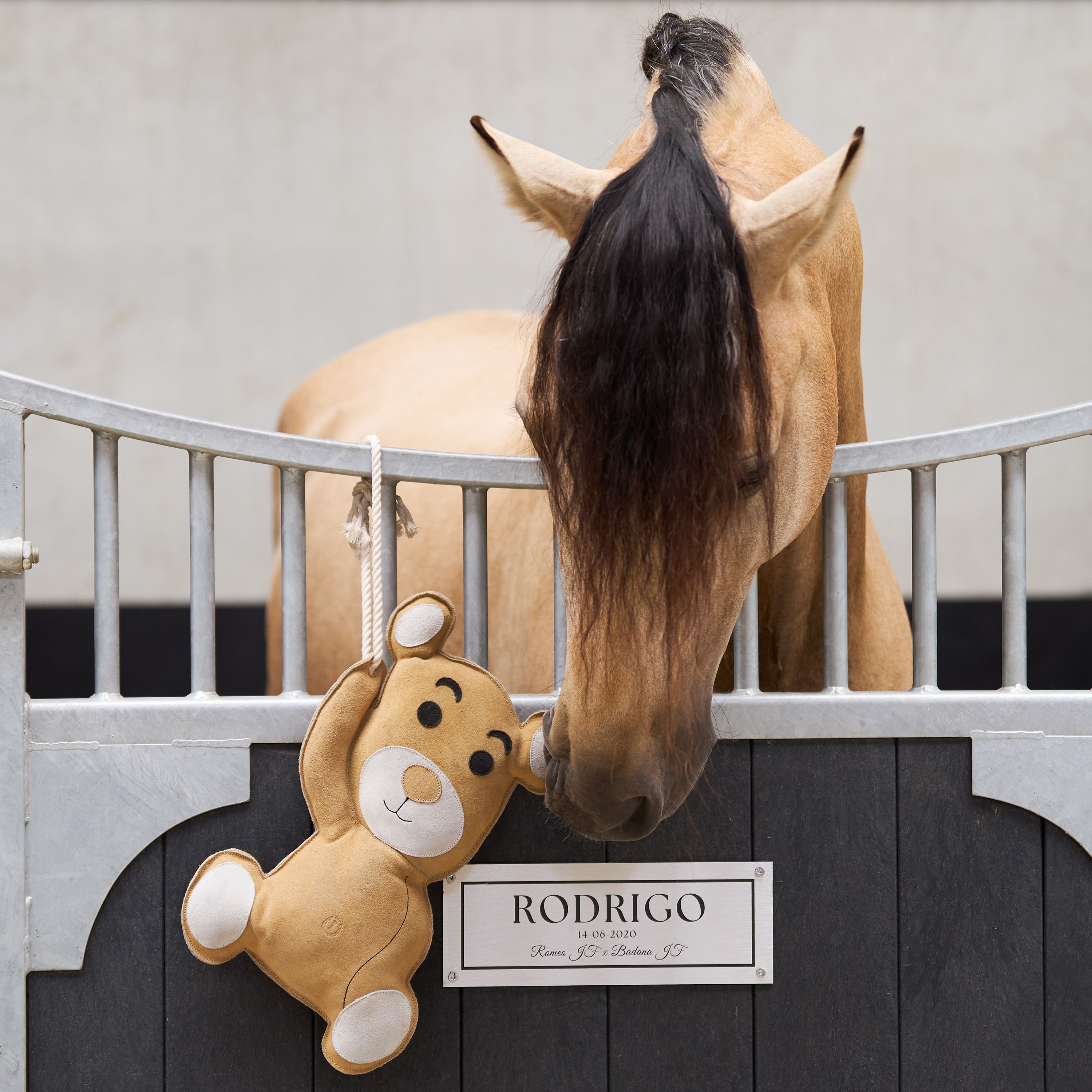 Imperial Riding IRHStable Buddy Hästleksak - Teddy - Mocka 