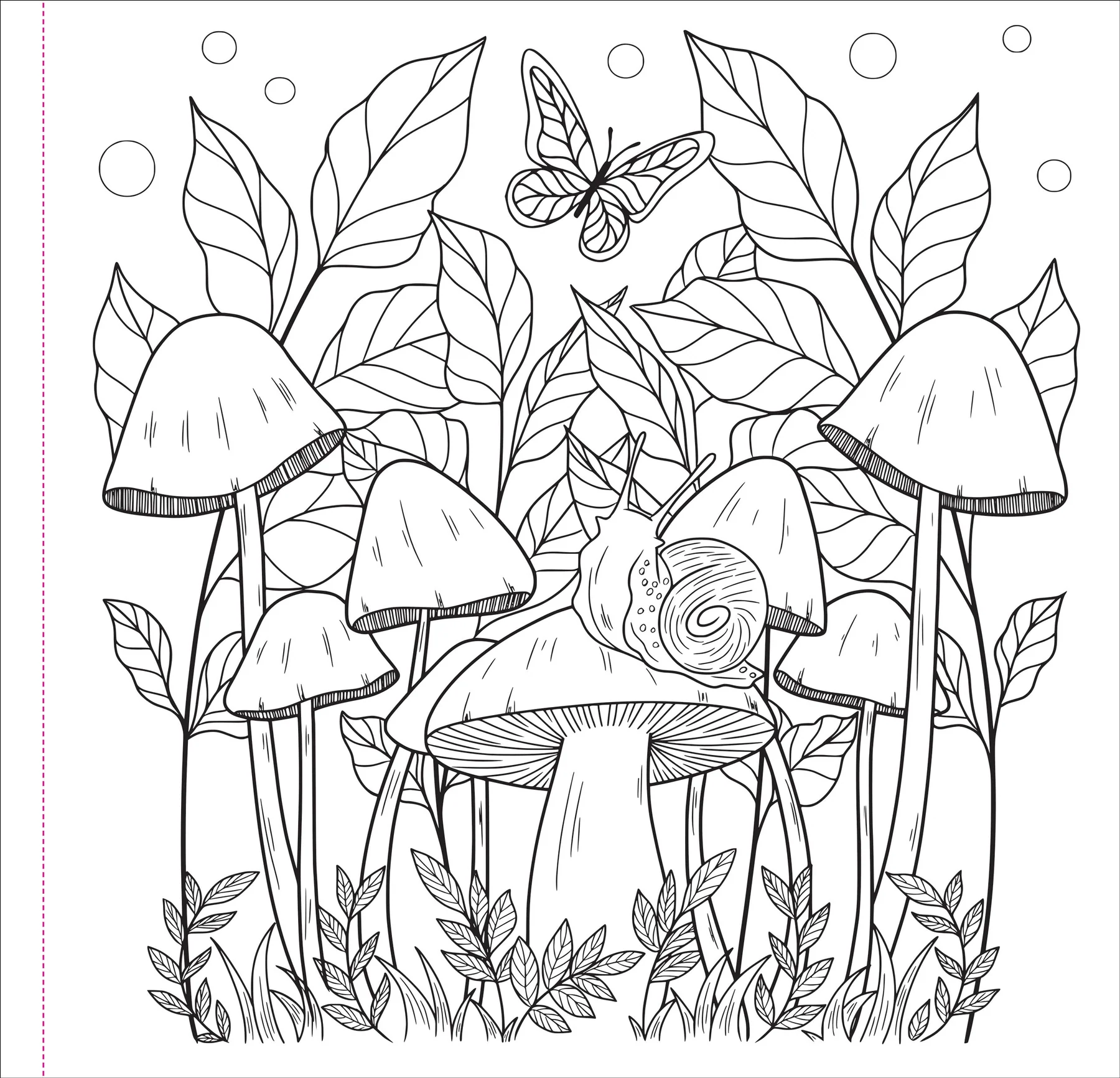 Mushrooms Adult Coloring Book - 3