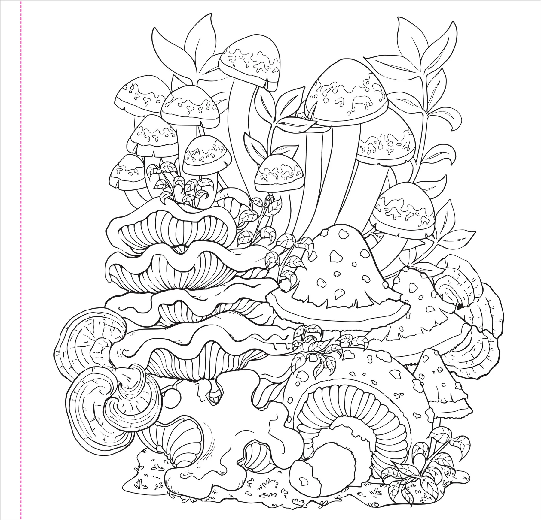 Mushrooms Adult Coloring Book - 4