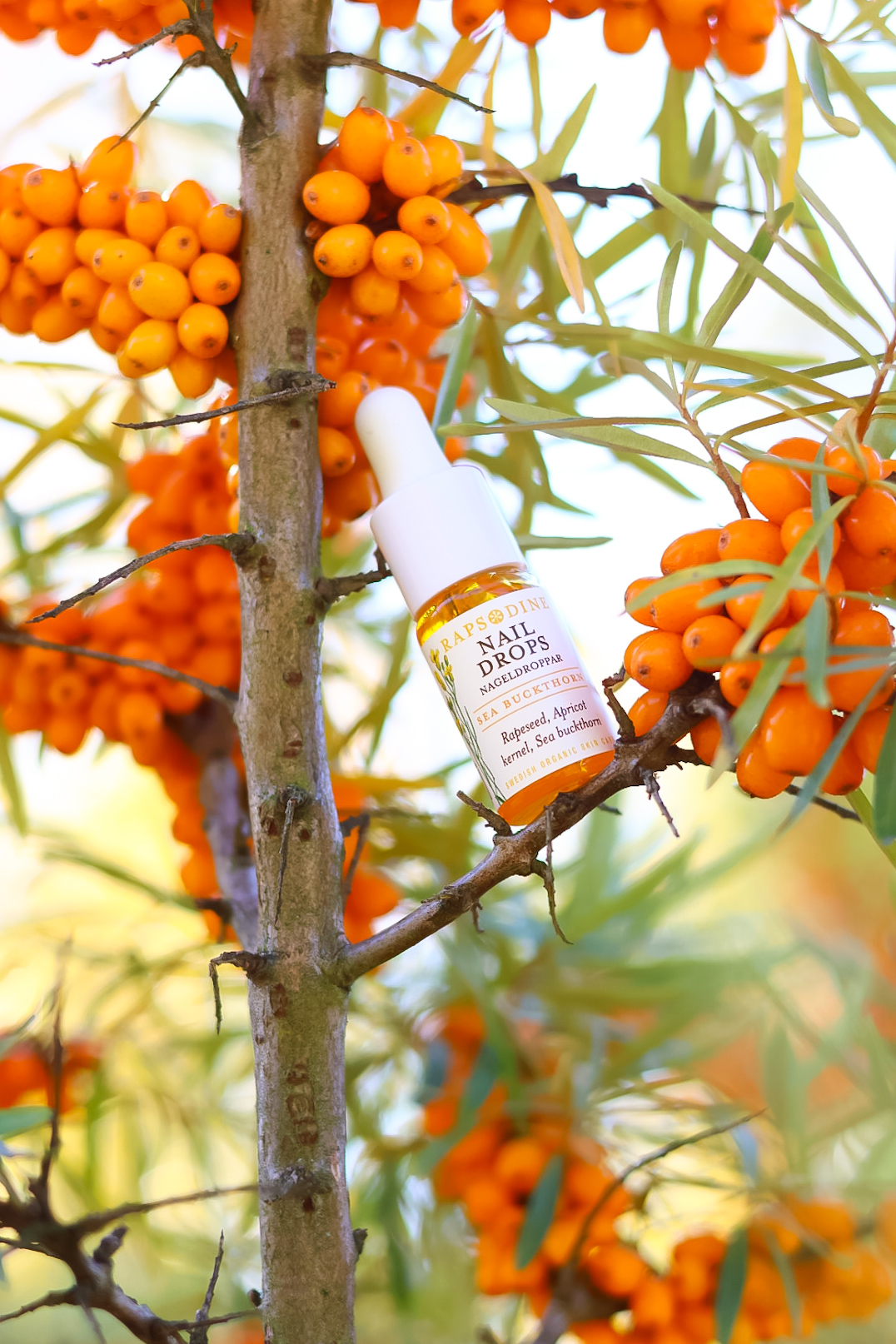 Nail drops Sea buckthorn, 10 ml  - 2