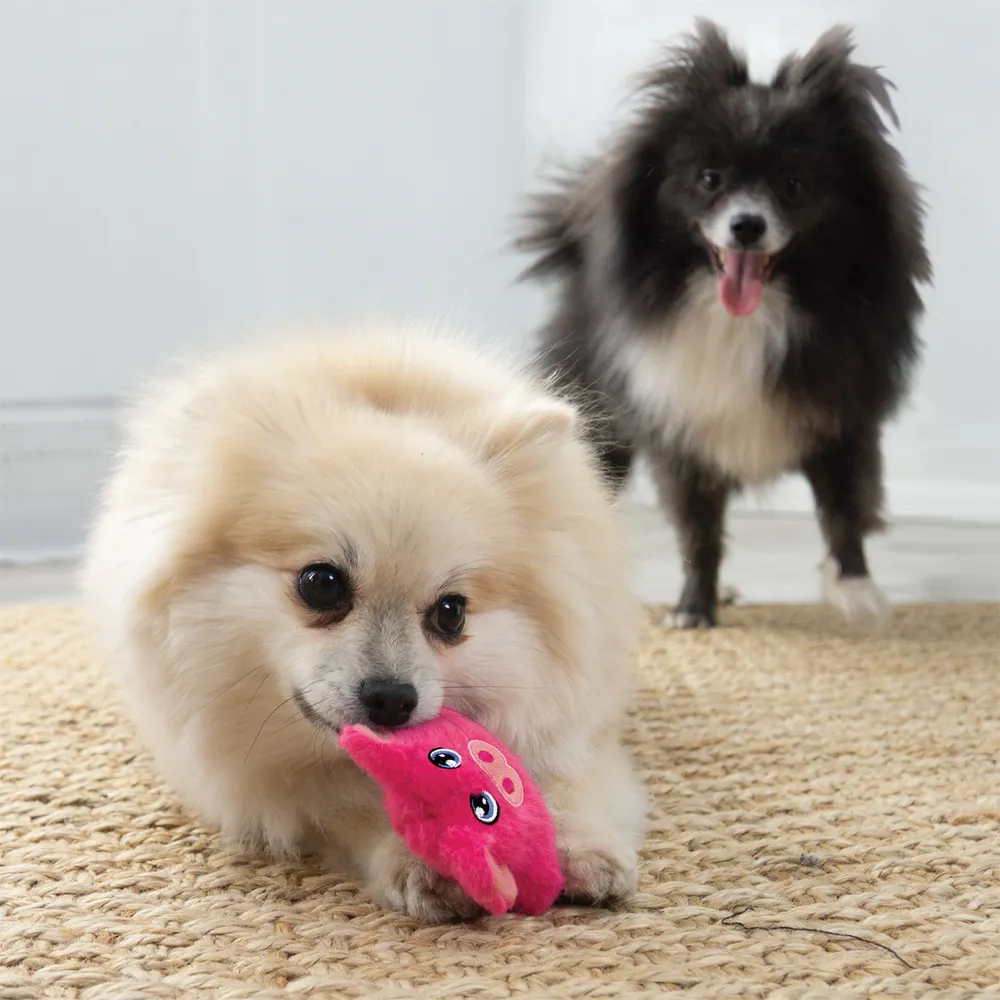 KONG Snuzzles Mini Pig Xs  - 3