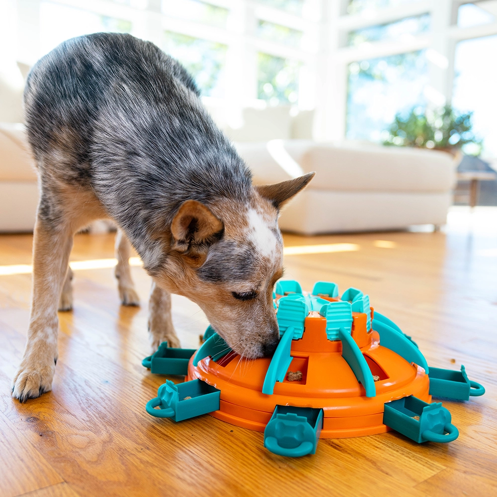 Dog puzzle Nina Ottosson Tower of treats food enrichment dog