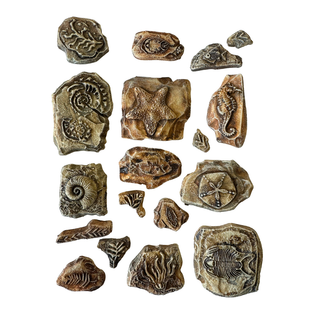 Soft Mould A5 - Silent Sea fossils  - 2