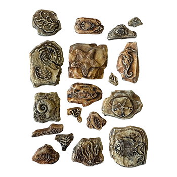 Soft Mould A5 - Silent Sea fossils 