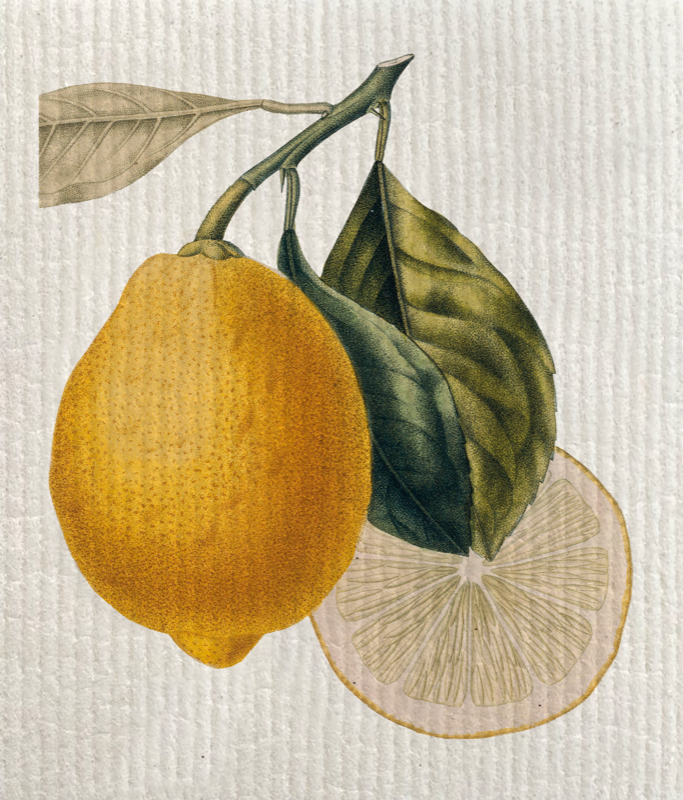 Disktrasa citron 