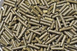 Dennerle - Shrimp King Protein 40g
