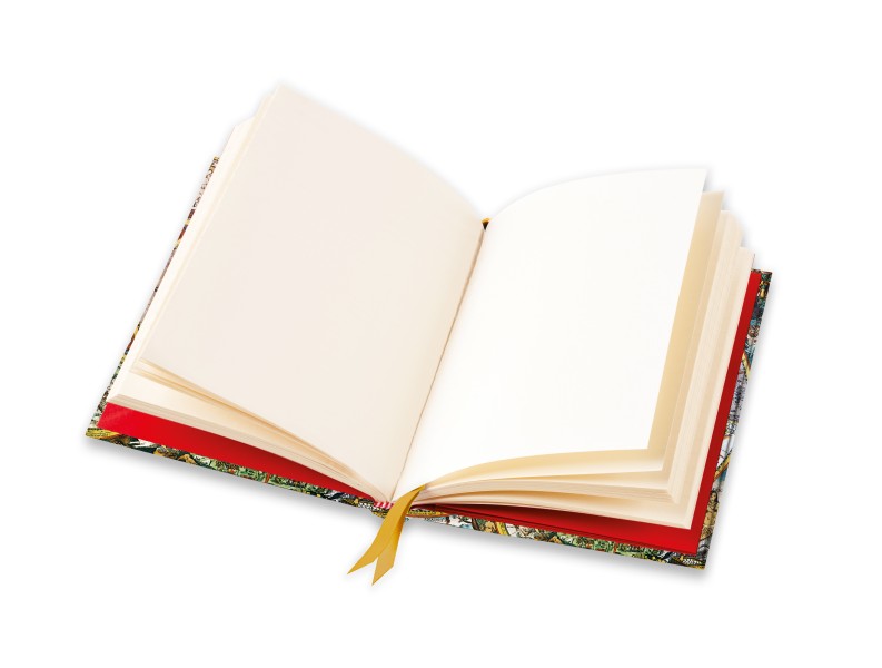 Antique Map (Foiled Blank Journal) - 2