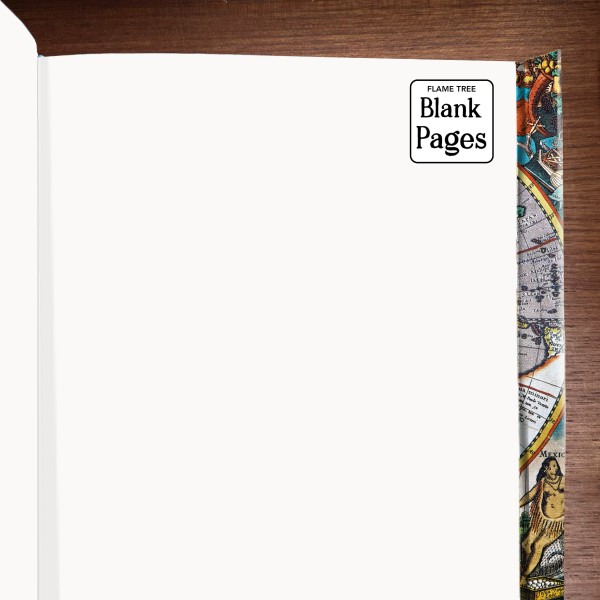 Antique Map (Foiled Blank Journal) - 3