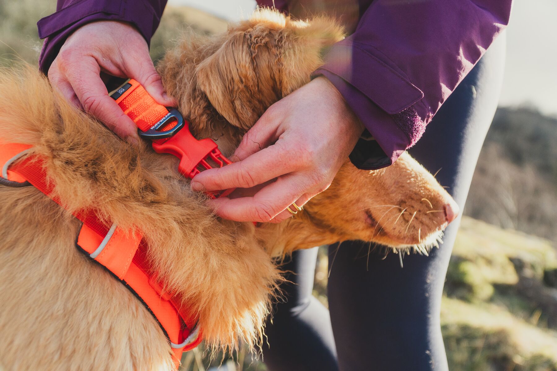 Ruffwear Front Range Collar - Blaze Orange - 5