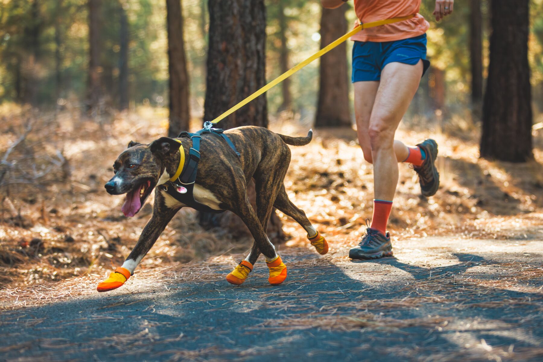Ruffwear Summit Trex Shoes  - Sunrise Yellow - 7