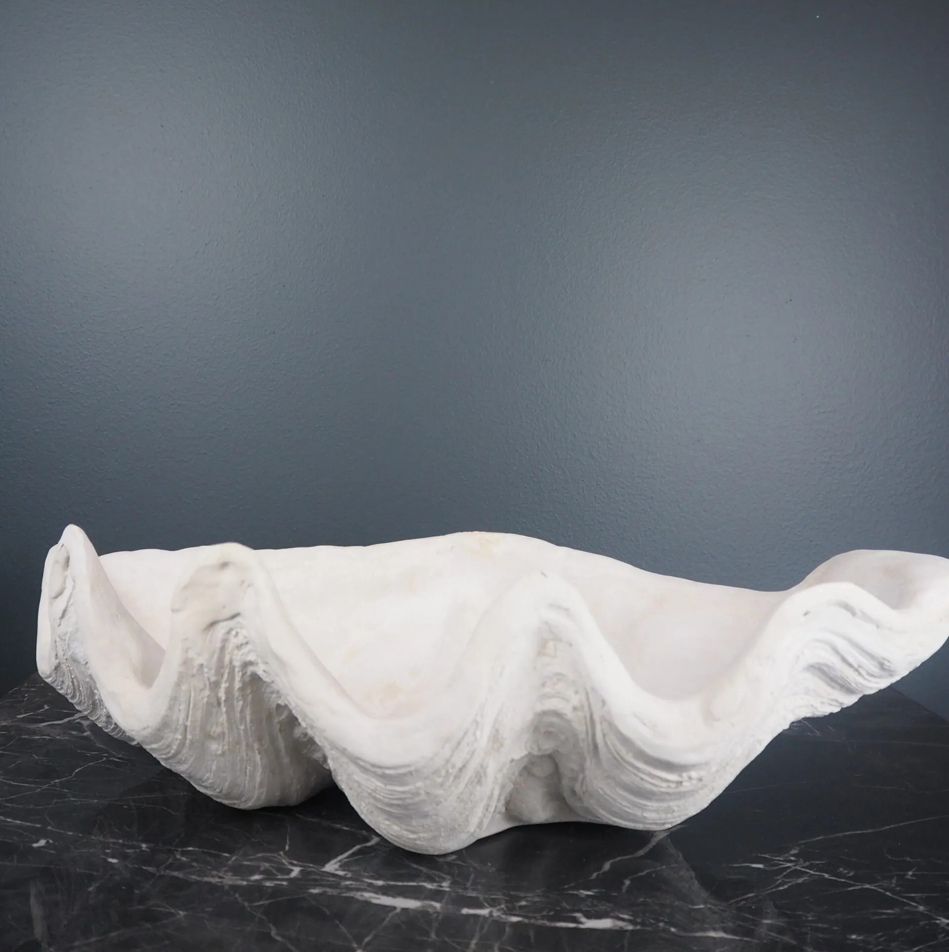 Panay Clam Shell Small