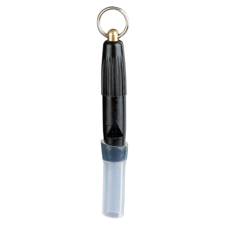 Weisskirchen Mouse Pipe 2