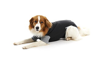 Buster Body Suit Classic Hund Svart/Grå