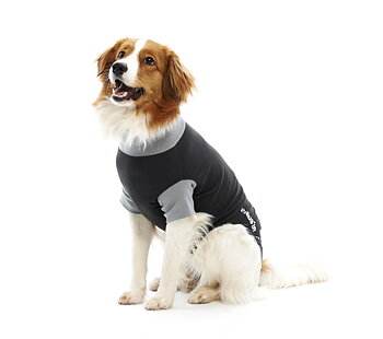 Buster Body Suit Classic Hund Svart/Grå