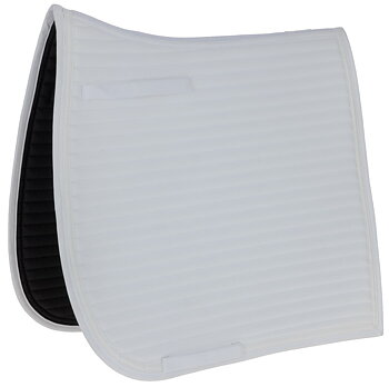 Covalliero Schabrak DR Linea Vit