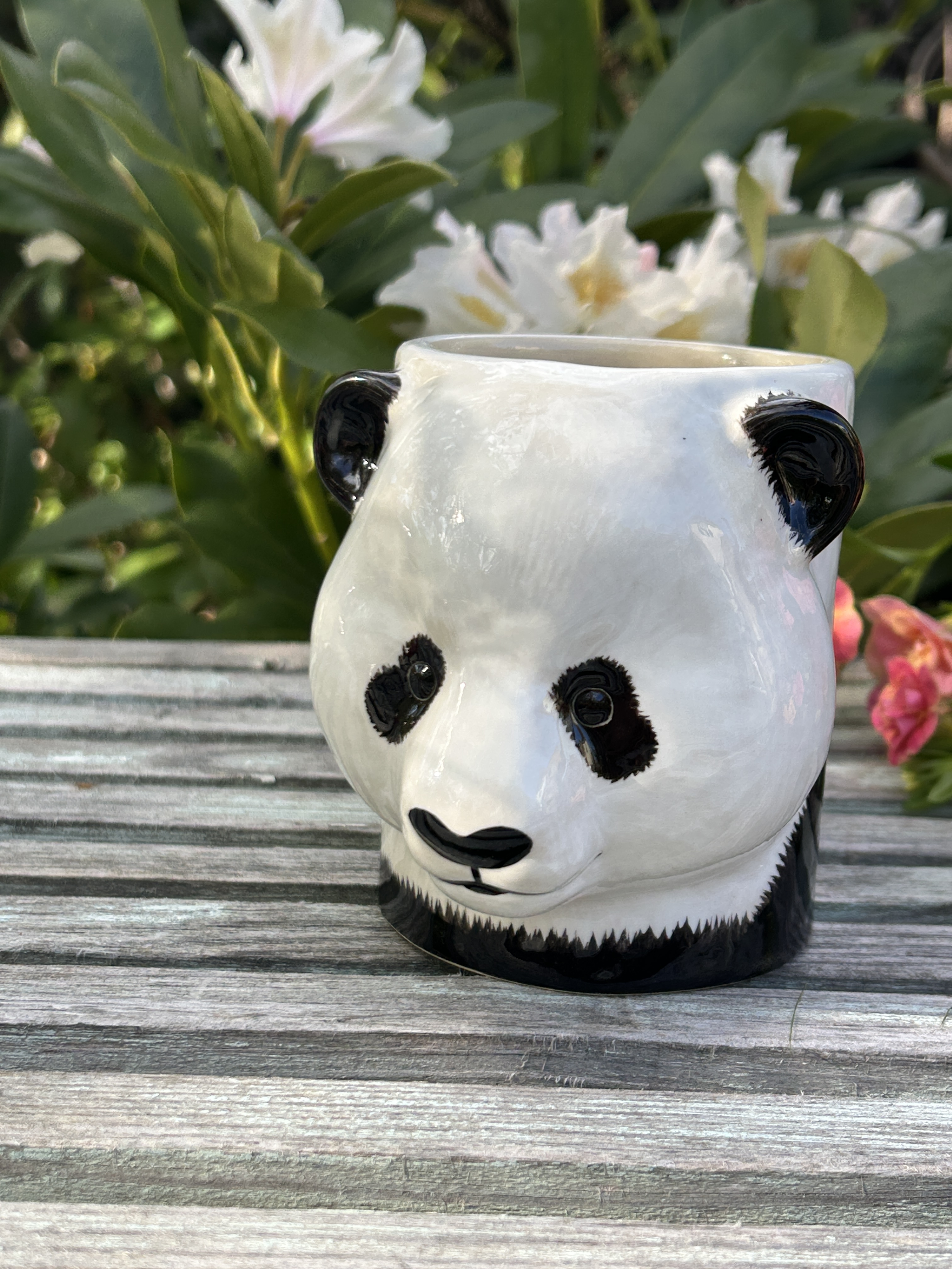 Burk Panda