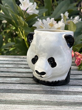 Burk Panda