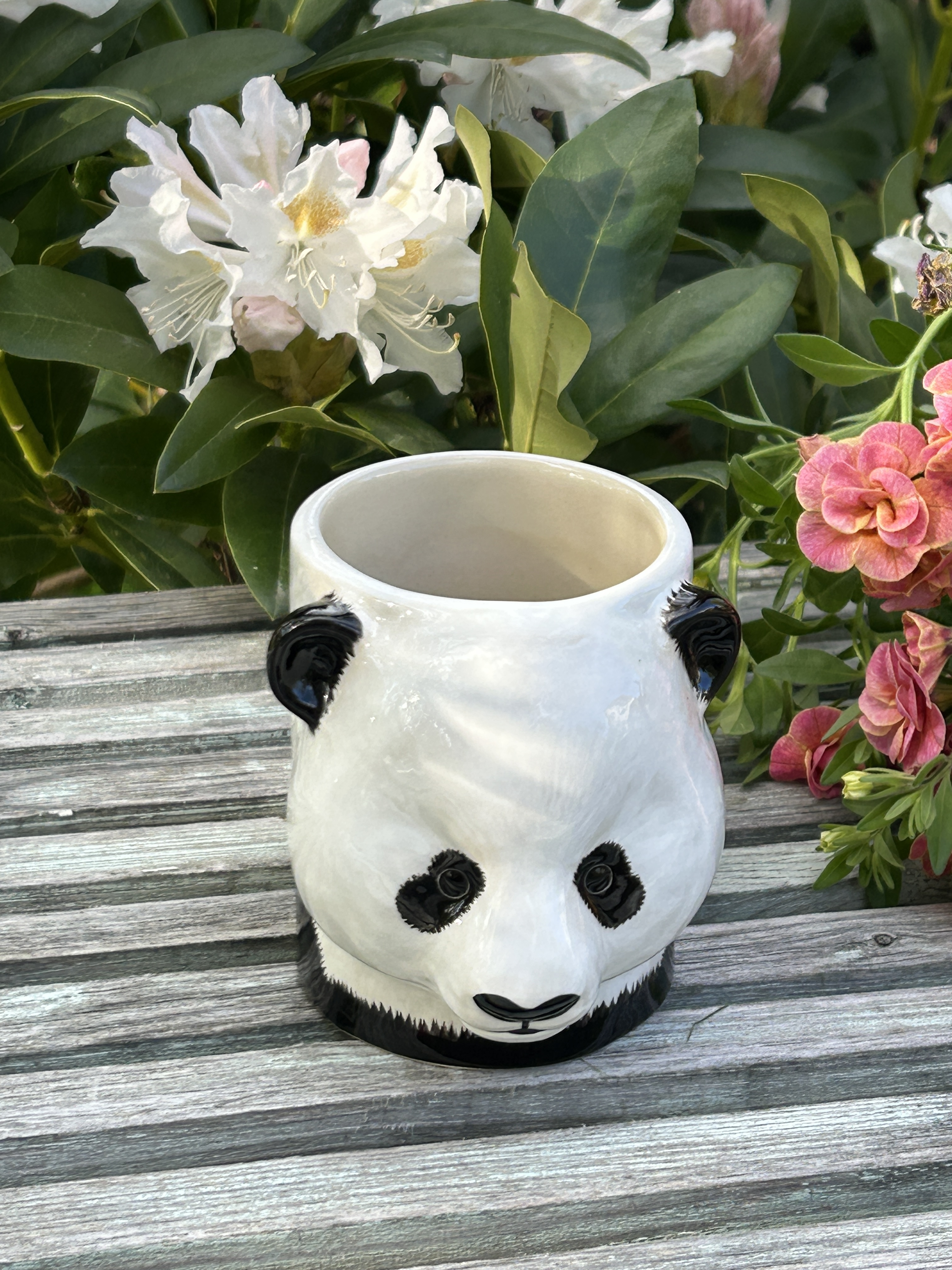 Burk Panda - 2