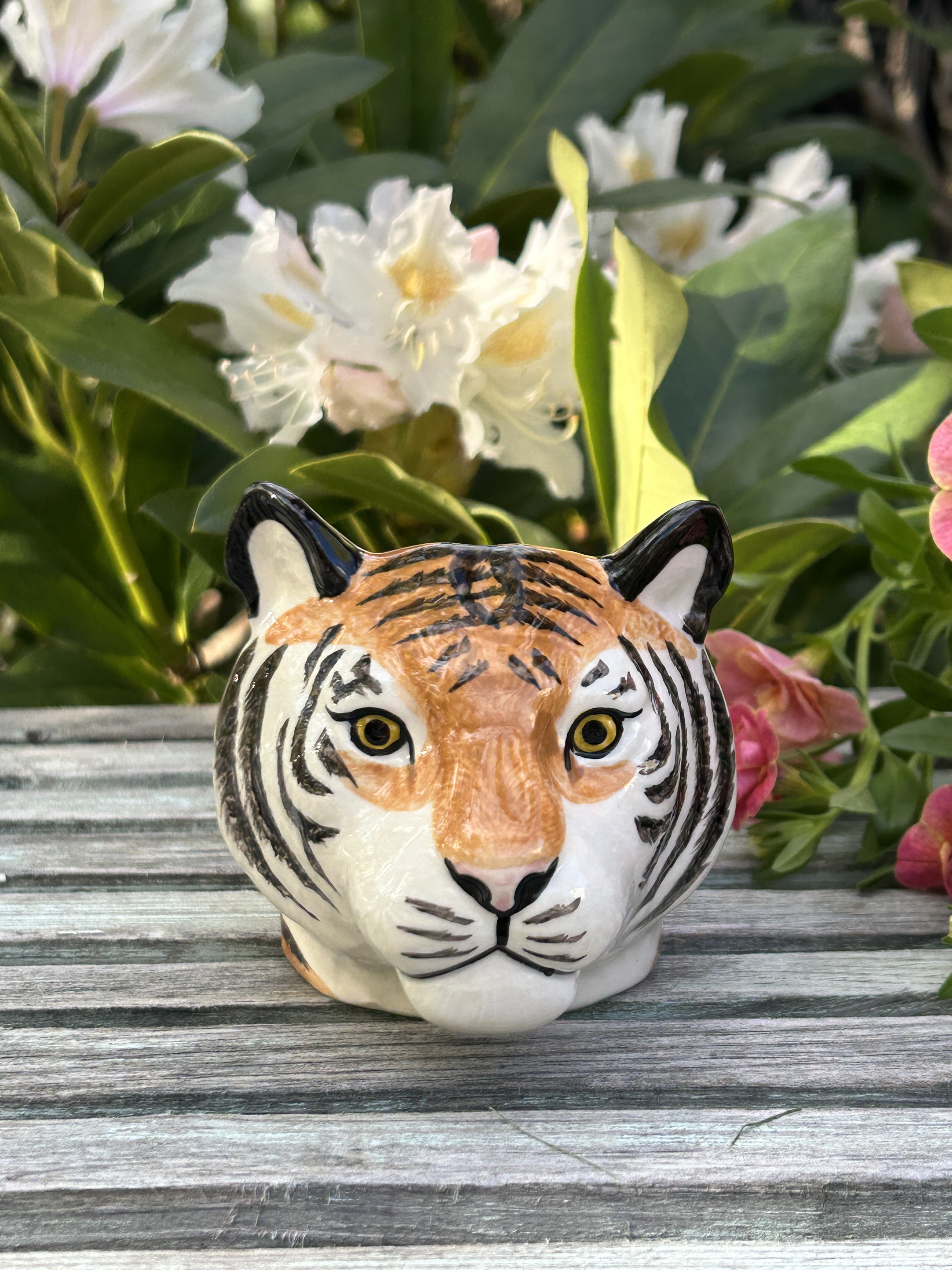 Äggkopp Tiger