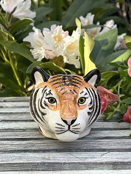 Äggkopp Tiger