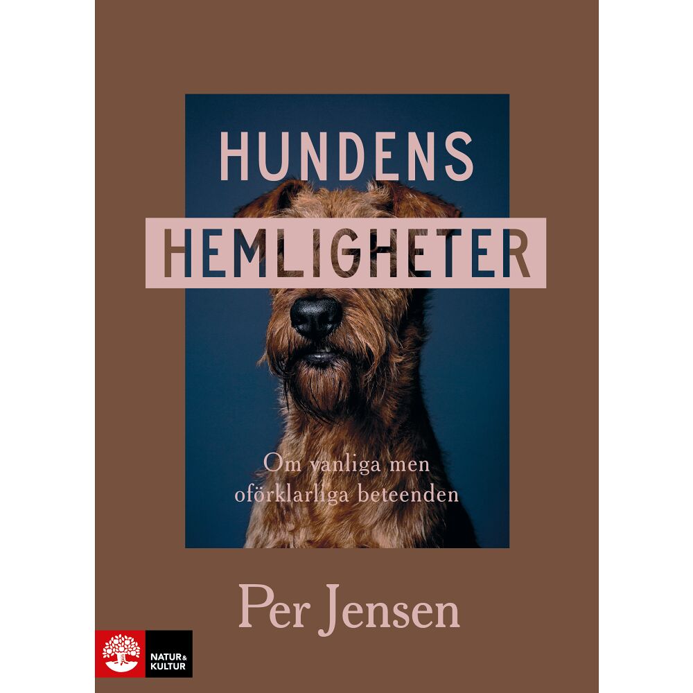 Hundens hemligheter : om vanliga men oförklarliga beteenden