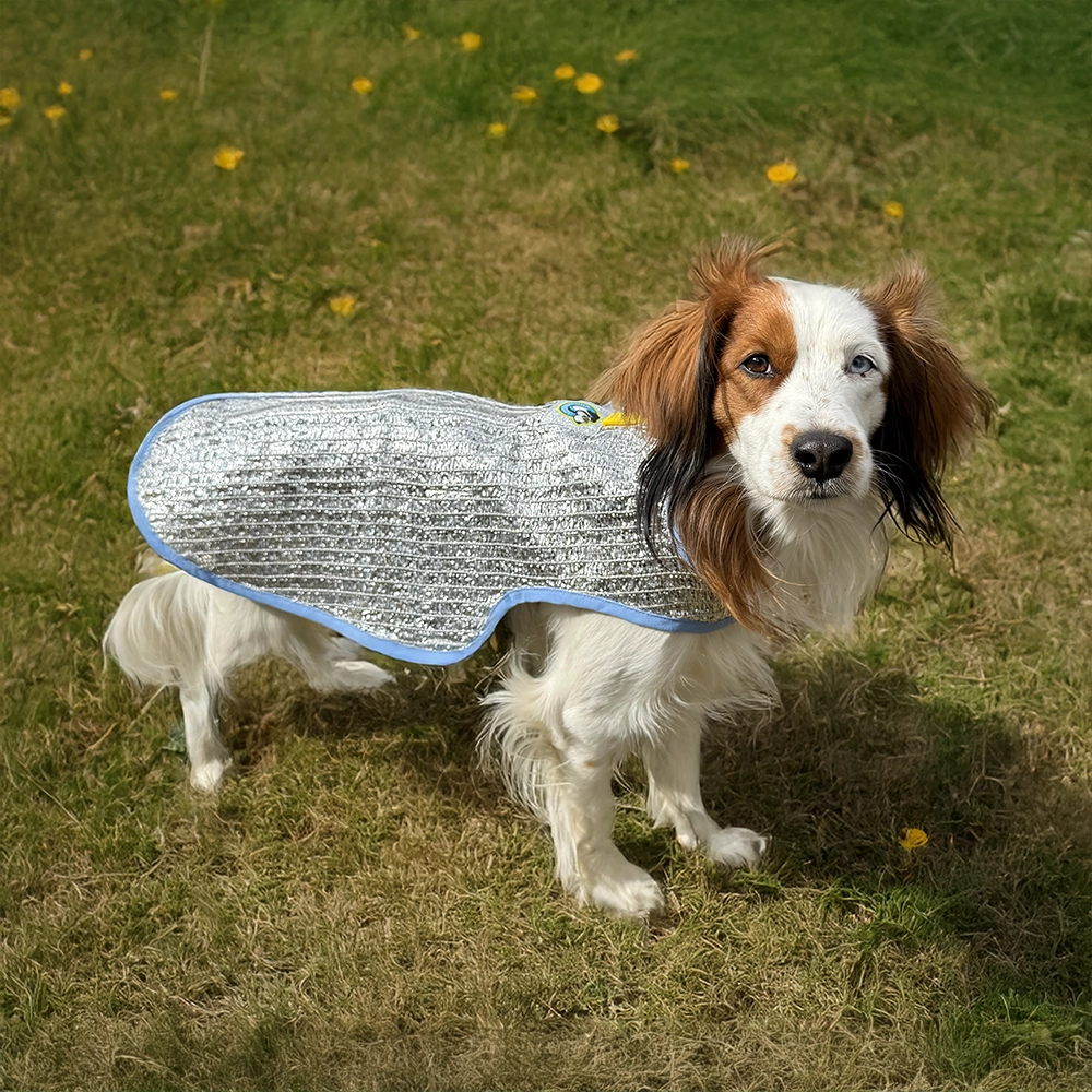 Silverduk täcke till hund som svalkar och ger skugga