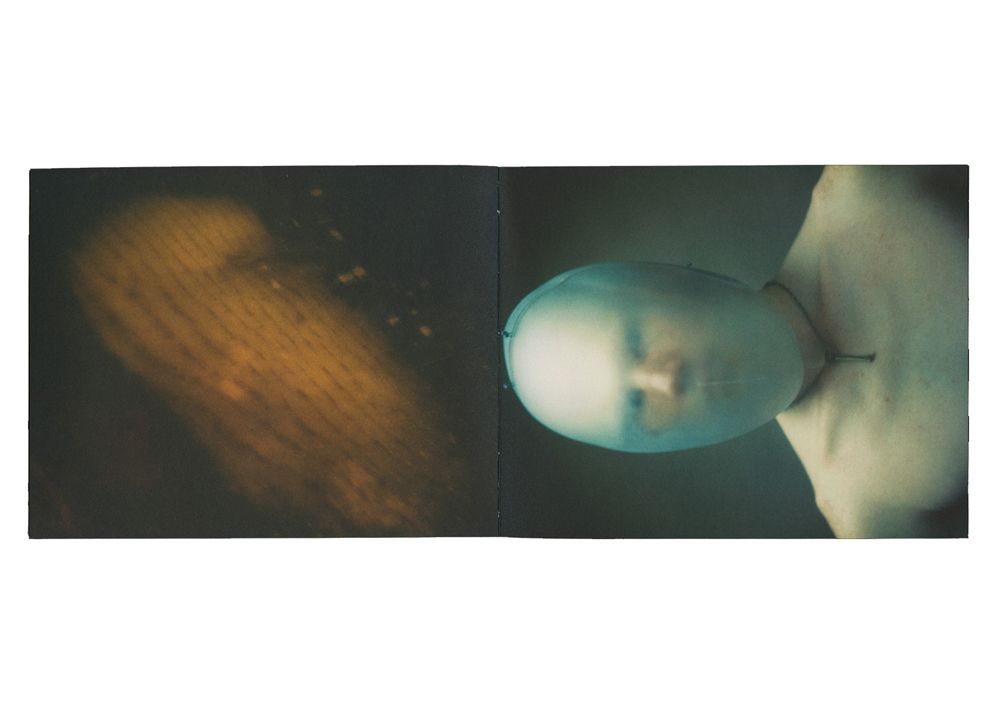 Martina Hoogland Ivanow: Shadow Works, Living the Dream 1994–2024 [signed] - 2