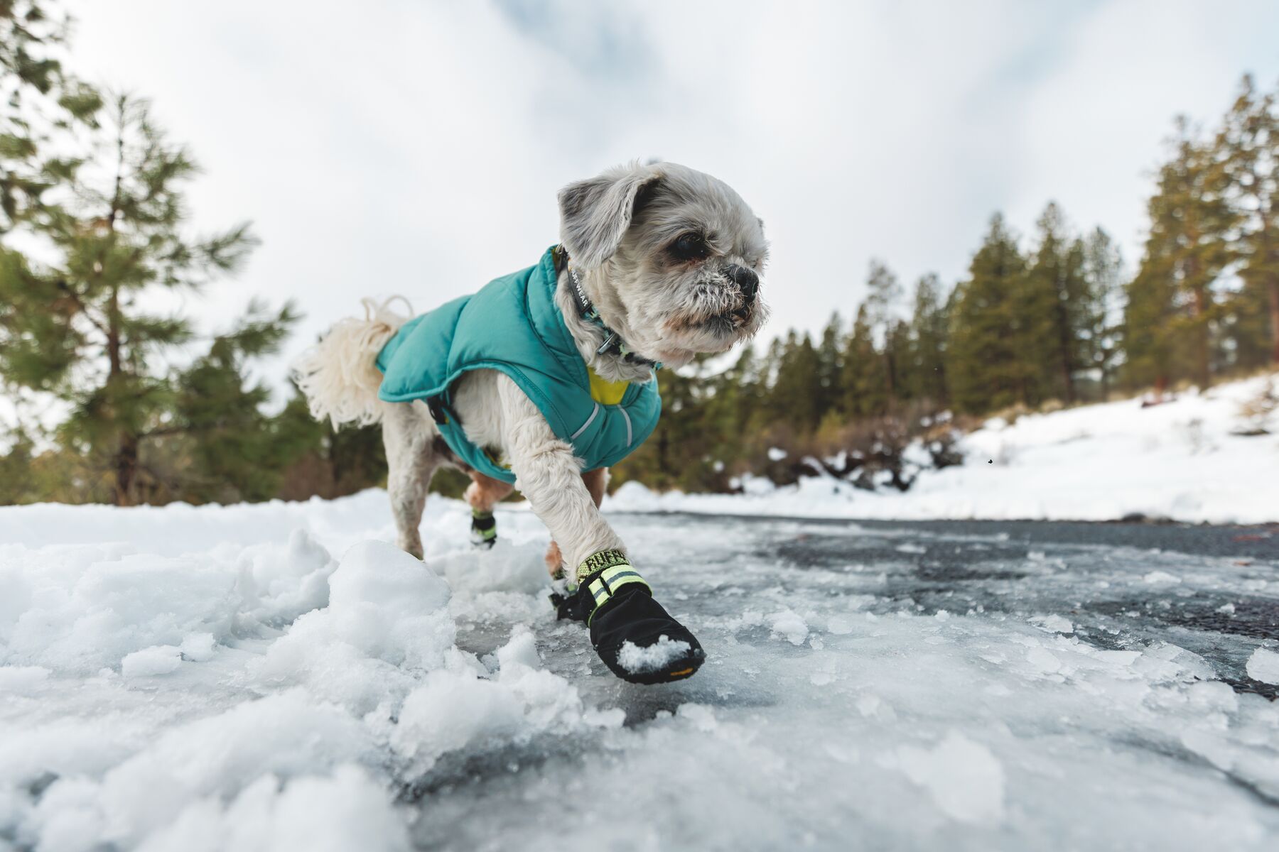 Ruffwear Summit Trex Shoes  - Obsidian Black - 6