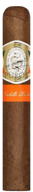 Casa 1910 Revolutionary Edition Cuchillo Parado Robusto