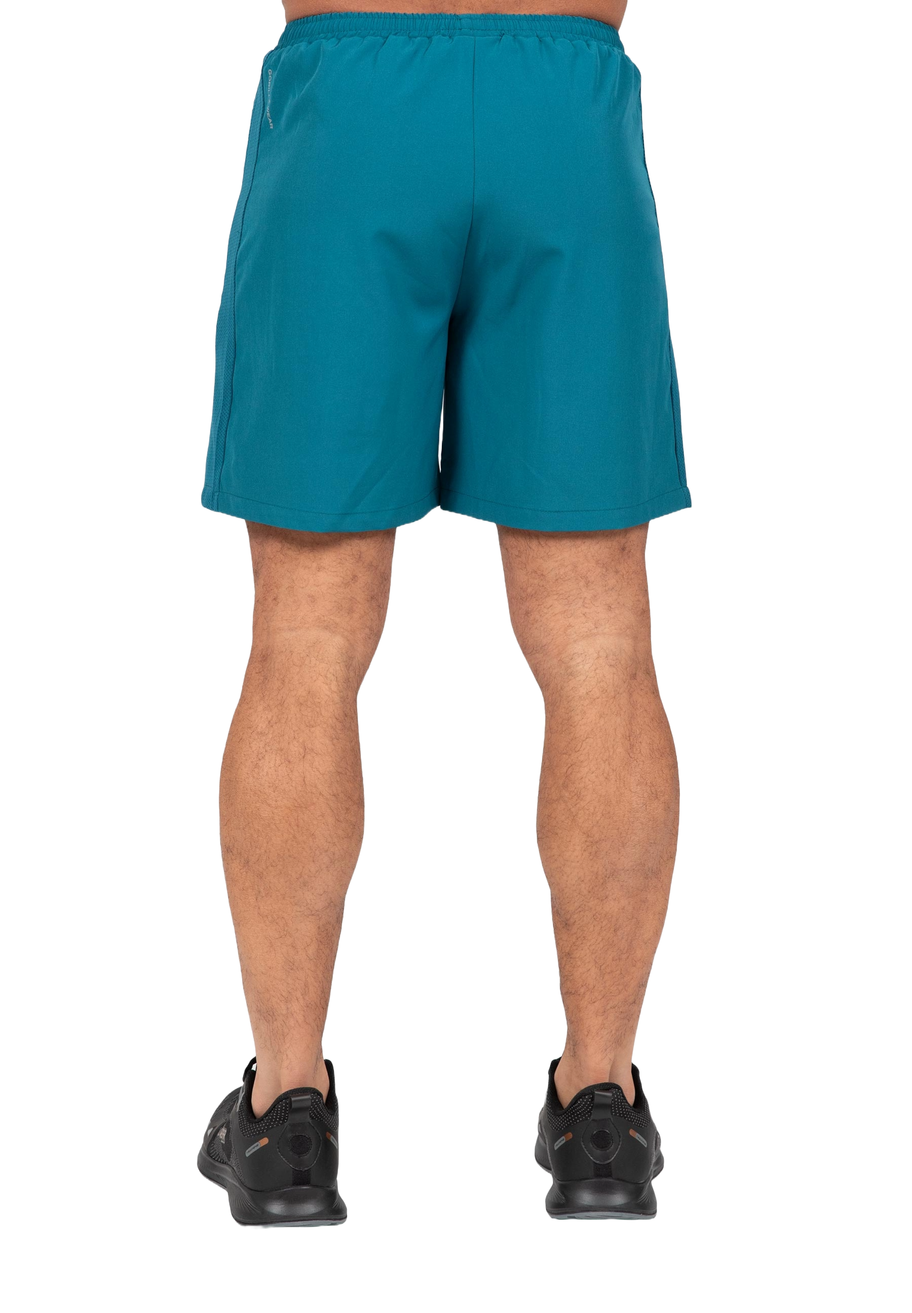 Lubec Shorts, petrol - 8