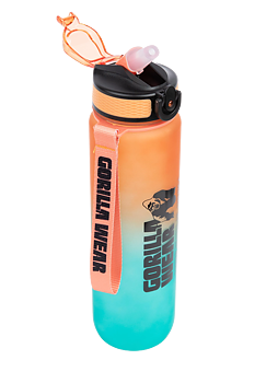 Gradient Water Bottle, green/orange