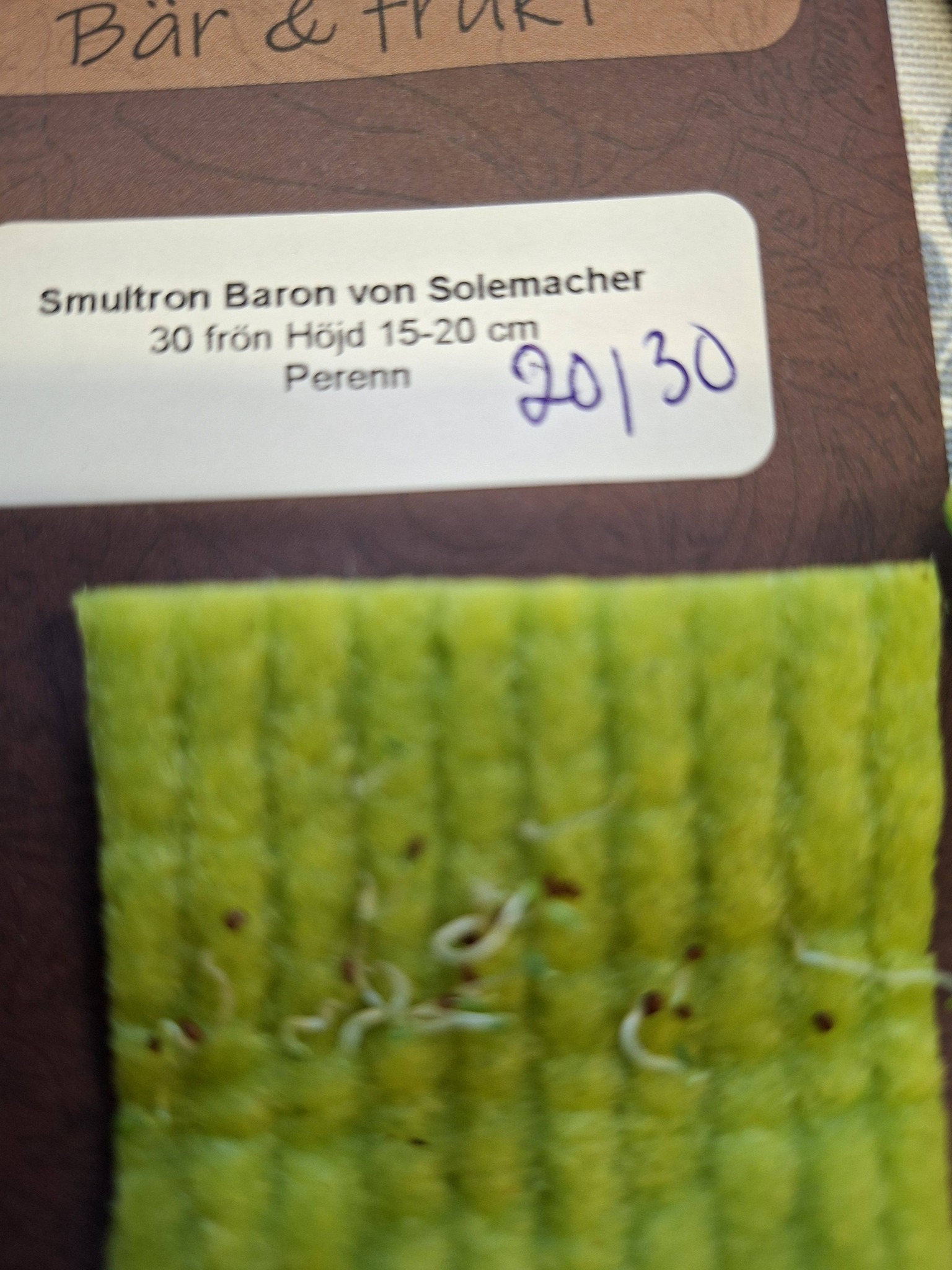 Smultron Baron von Solemacher 30 frön - 2