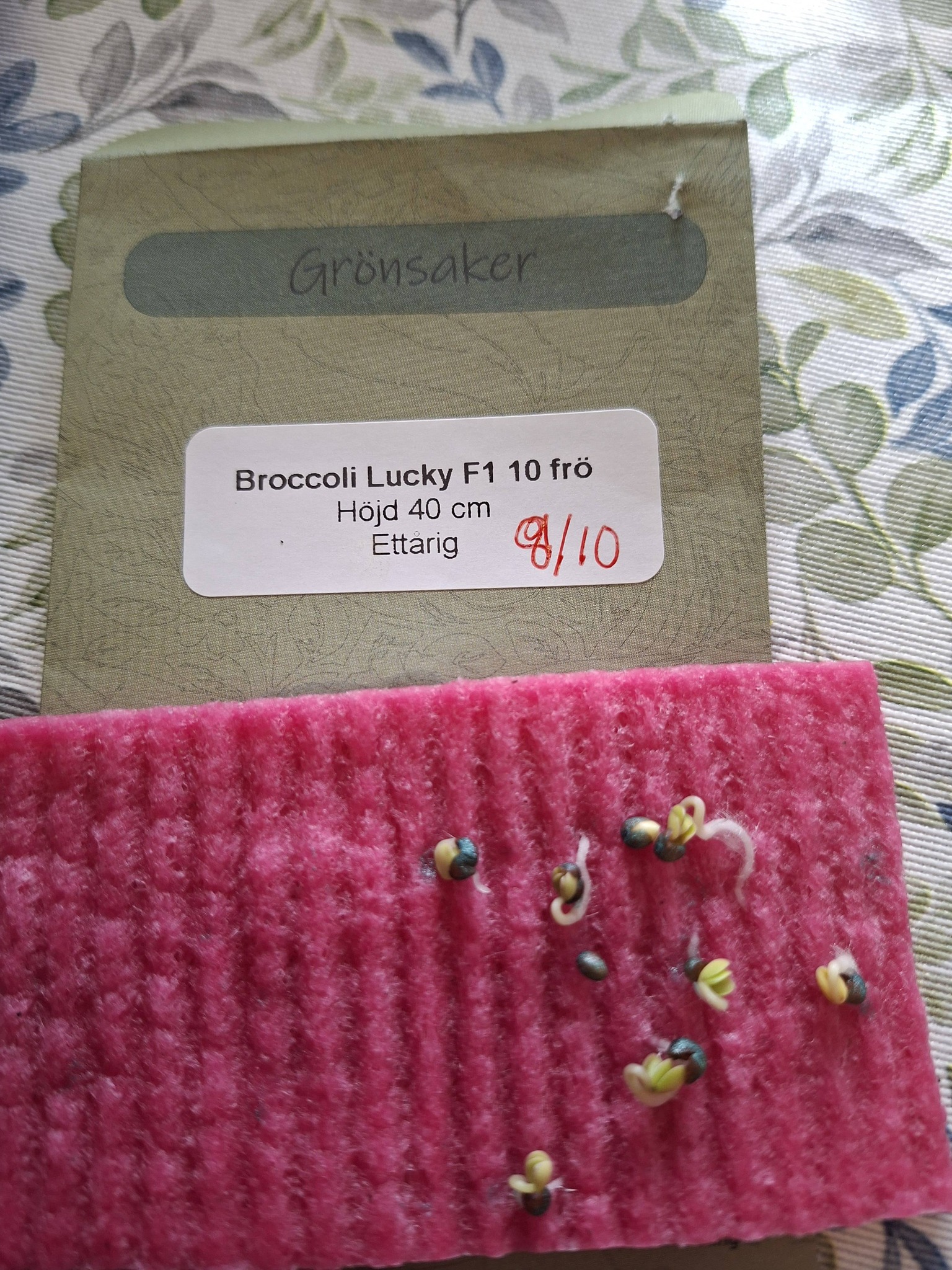 Broccoli Lucky F1 10 frön - 2