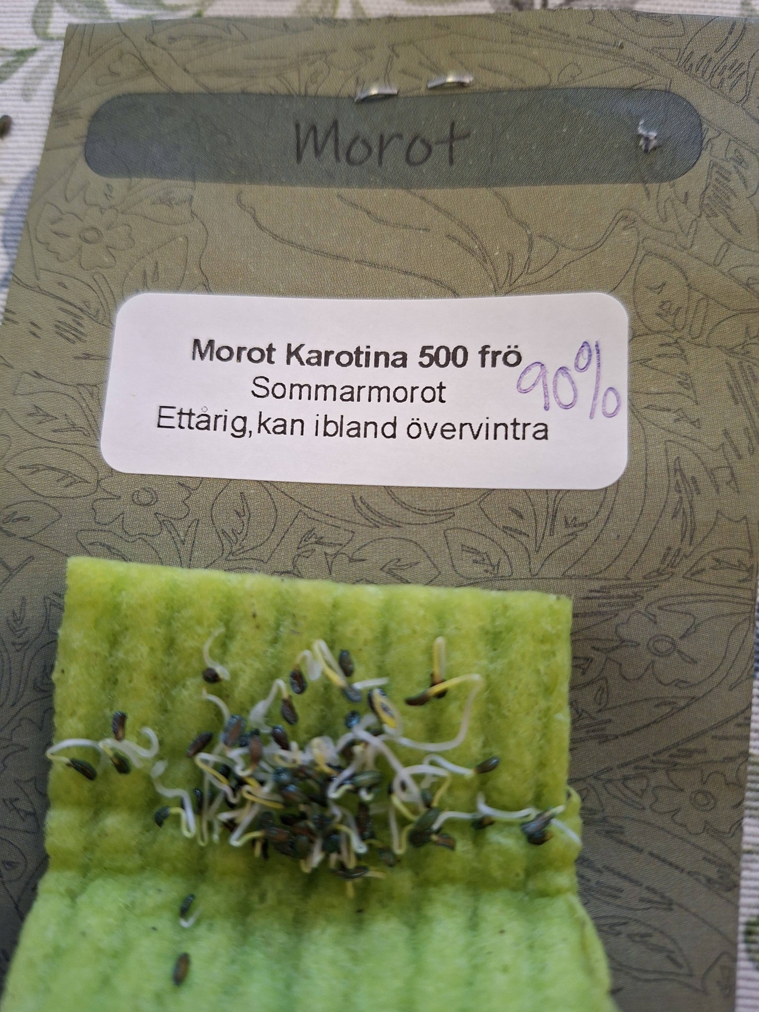 Morot (sommar) Karotina  500 frö   - 2