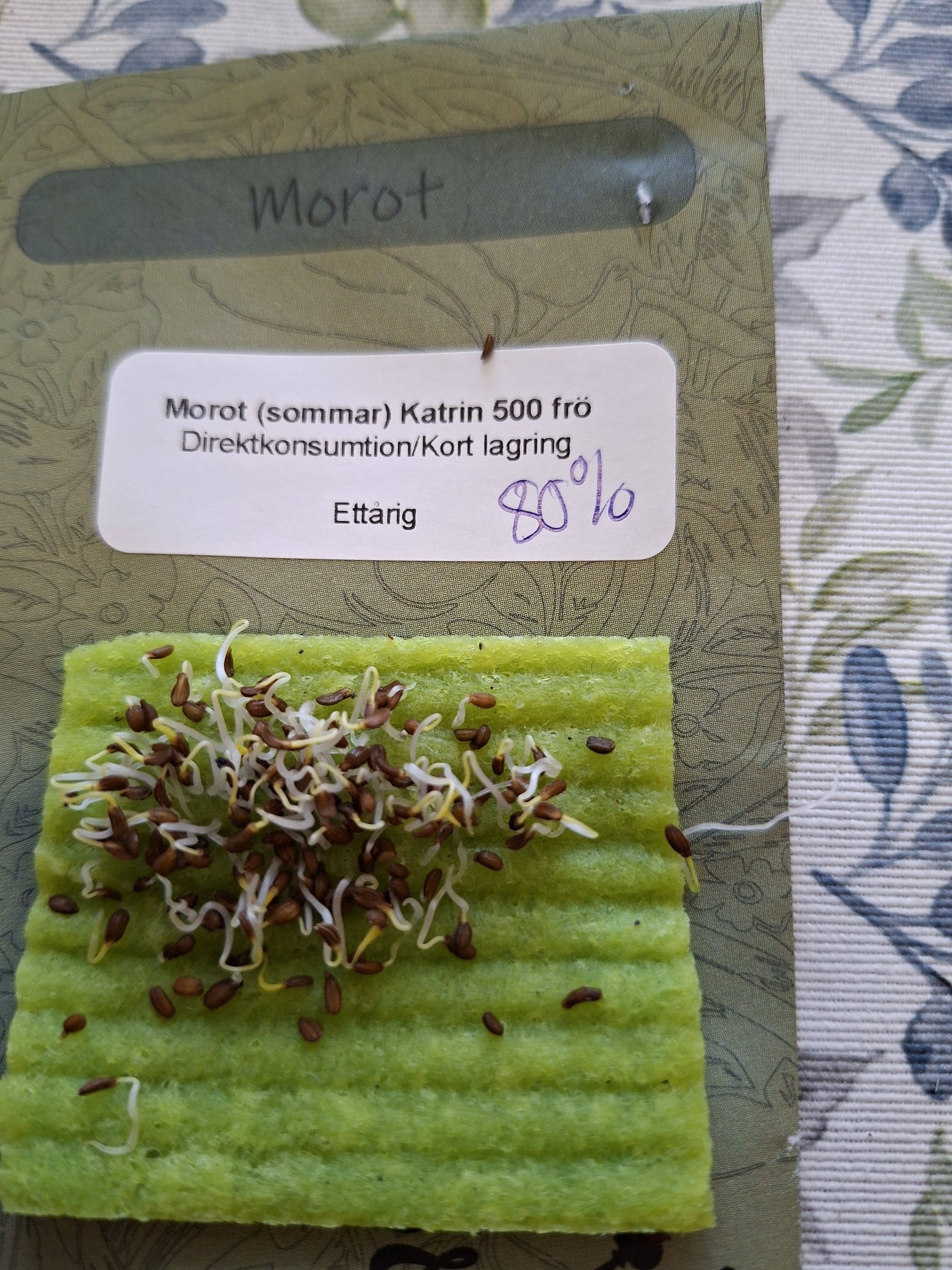 Morot (sommar) Katrin  500 frö   - 2