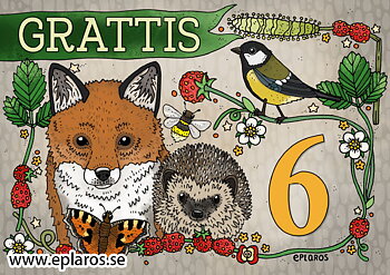 Vykort A5 Grattis 6 år